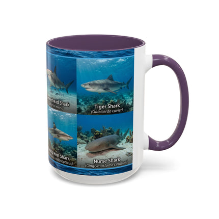 15 oz Shark Species Accent Coffee Mug — Ocean Sharks Identification