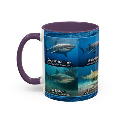 11 oz Shark Species Accent Coffee Mug — Ocean Sharks Identification