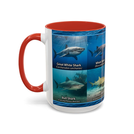 15 oz Shark Species Accent Coffee Mug — Ocean Sharks Identification