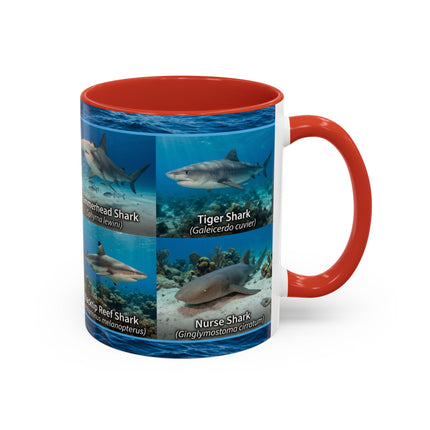 11 oz Shark Species Accent Coffee Mug — Ocean Sharks Identification
