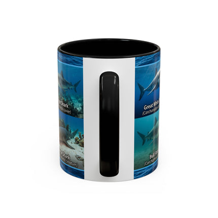 11 oz Shark Species Accent Coffee Mug — Ocean Sharks Identification