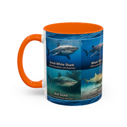 11 oz Shark Species Accent Coffee Mug — Ocean Sharks Identification