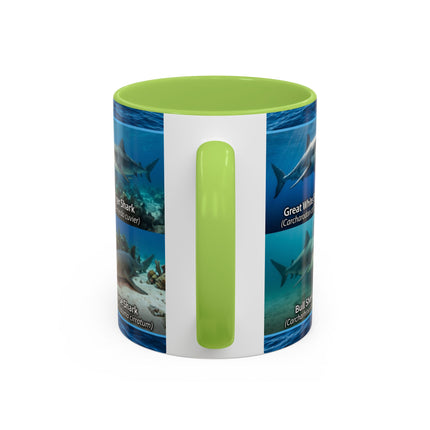 11 oz Shark Species Accent Coffee Mug — Ocean Sharks Identification