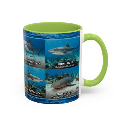 11 oz Shark Species Accent Coffee Mug — Ocean Sharks Identification