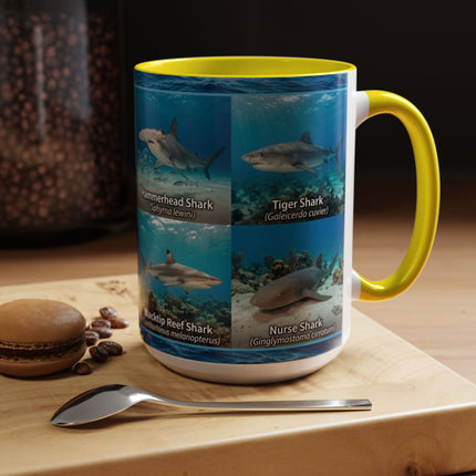 15 oz Shark Species Accent Coffee Mug — Ocean Sharks Identification