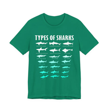 Types of Sharks Graphic Tee — Shark Species Chart T‑Shirt