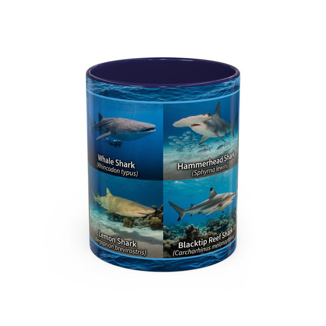 11 oz Shark Species Accent Coffee Mug — Ocean Sharks Identification